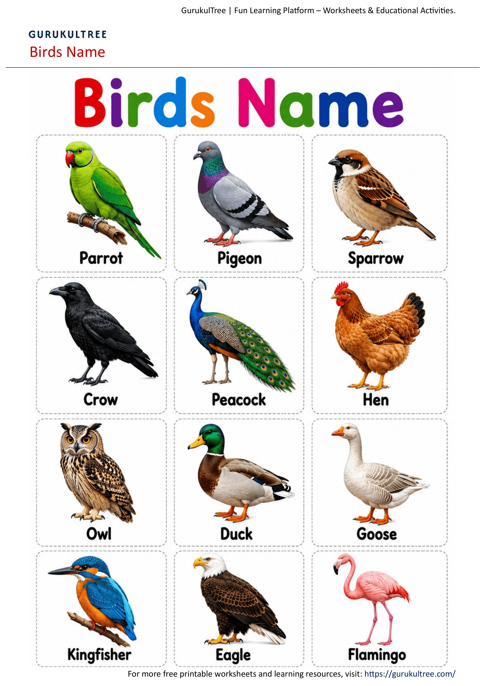 Birds Name